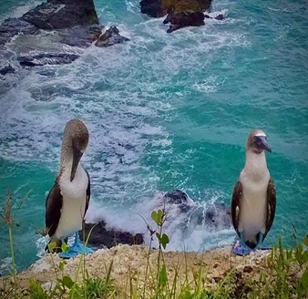 Tour Isla de la Plata